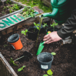 L'astuce anti-gaspi transformez votre marc de café en allié du jardin !