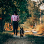 Bien choisir sa boutique d'accessoires pour chien