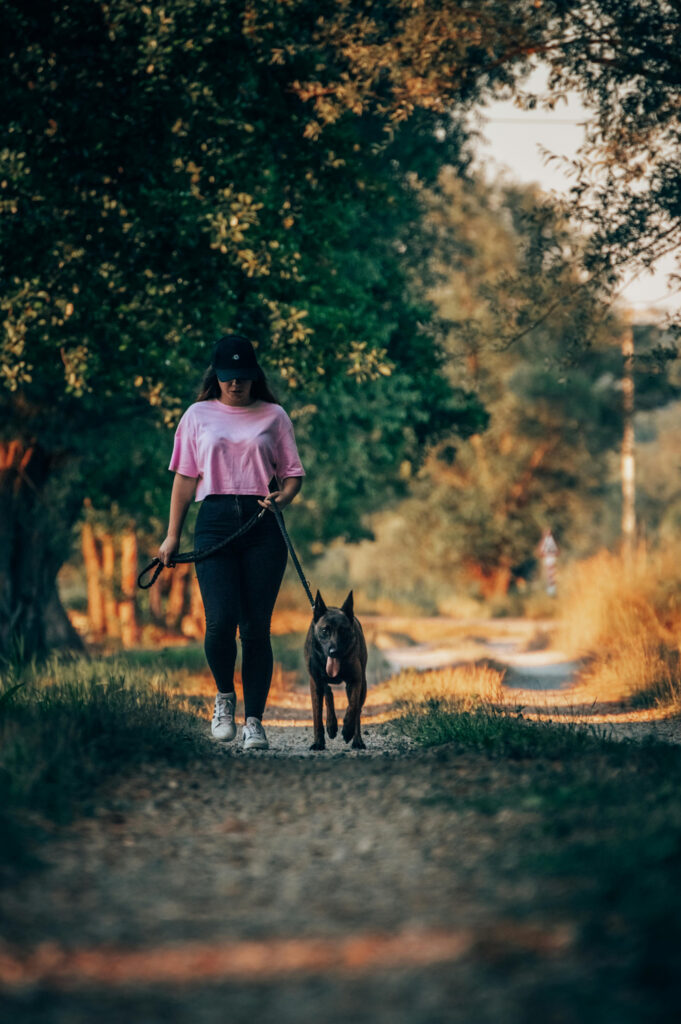 Bien choisir sa boutique d'accessoires pour chien